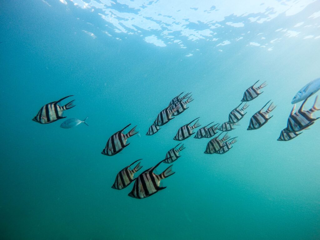 jeremy bishop TI 3eaoMyjo unsplash